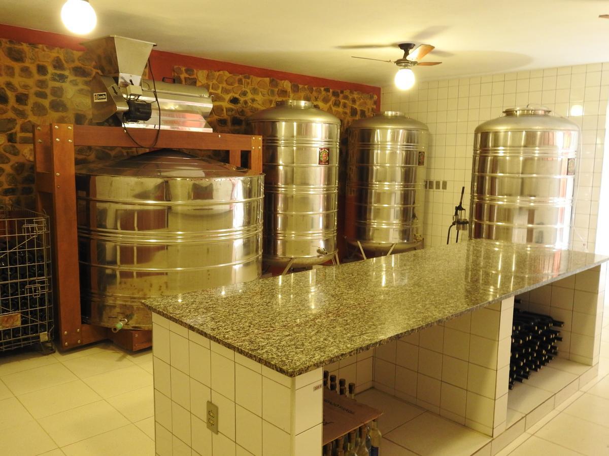 Vinicola Vale Do Vinho * Cunha